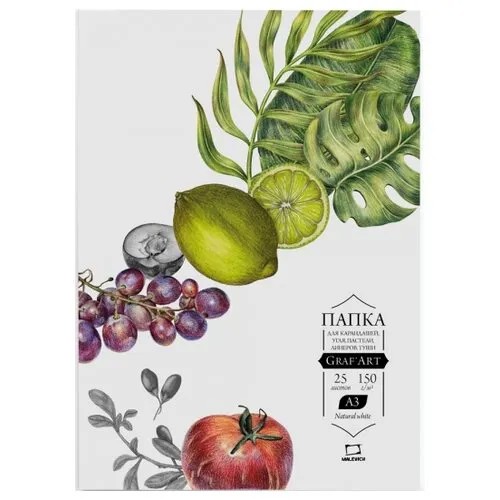 Папка для сухих техник Малевичъ Graf'Art 42 х 29.7 см (A3), 150 г/м², 25 л.