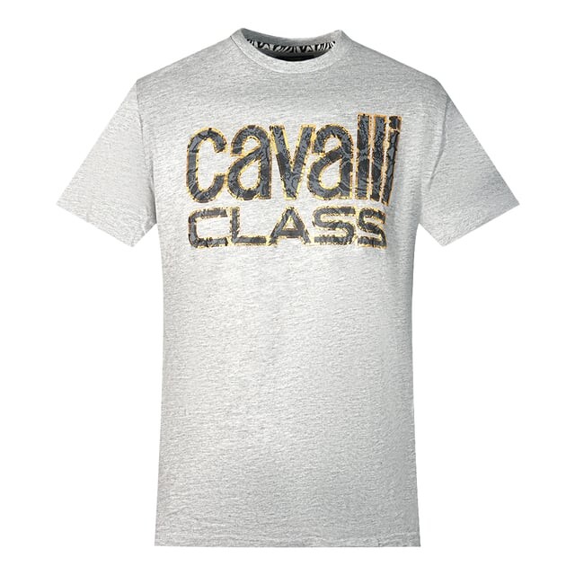 Футболка с логотипом из змеиной кожи серая Cavalli Class, серый