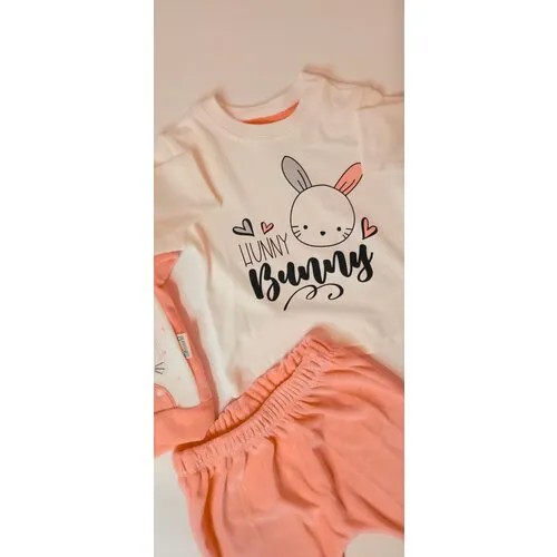 Комплект одежды  Miniworld для девочек, кофта и футболка, нарядный стиль, размер 12-18 месяцев, розовый