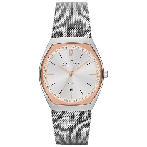 Наручные часы Skagen SKW2051