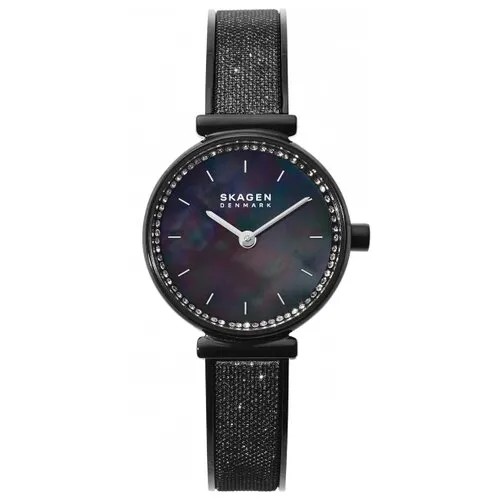 Наручные часы SKAGEN SKW2792, черный