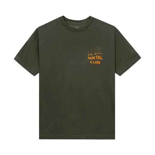 Футболка Anti Social Social Club A Fire Inside Tee, оливковый