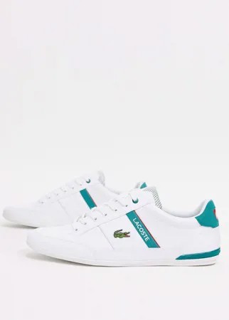 Бело-зеленые кожаные кроссовки с полосками Lacoste-Белый