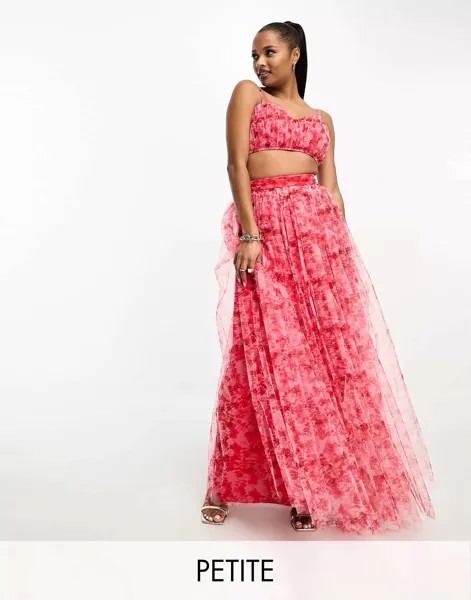 Кружево и бисер Эксклюзивная макси-юбка Petite из тюля красного и розового цвета с цветочным принтом Lace & Beads