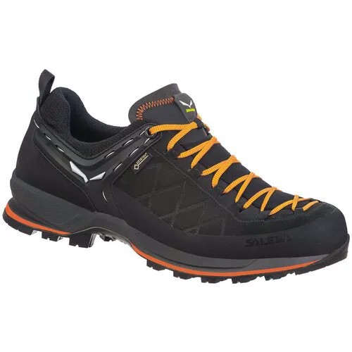 Кроссовки Salewa Mountain Trainer 2 GORE-TEX