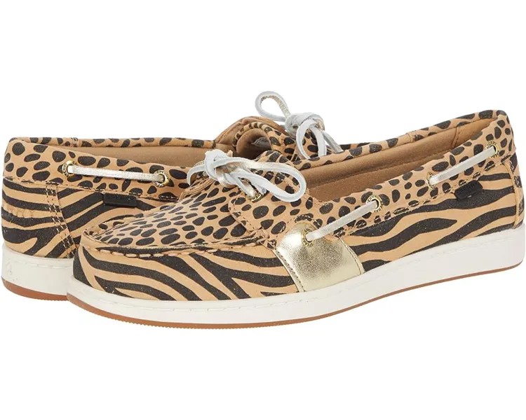 Топсайдеры Sperry Coastfish 1-Eye, мульти