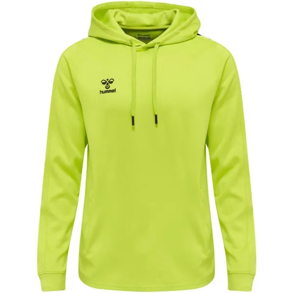 Толстовка Hmlcore Xk Sweat Multisport HUMMEL, цвет gruen