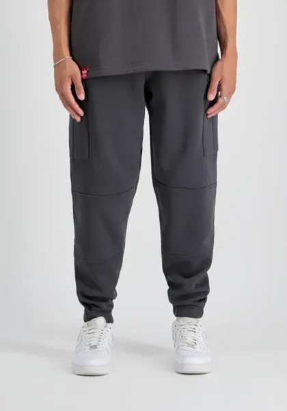 Спортивные брюки Alpha Industries 