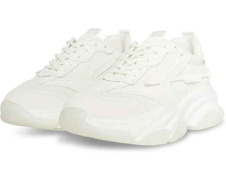 Кроссовки Steve Madden Possess, белый