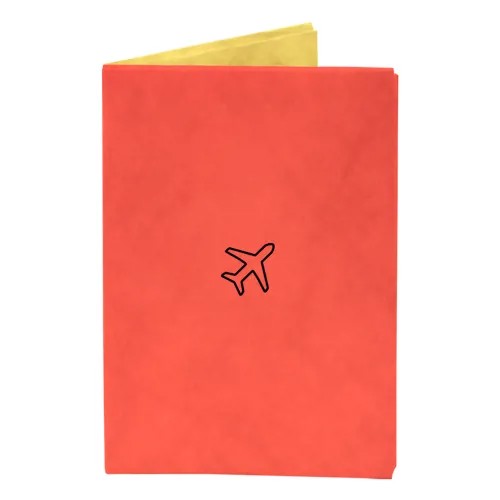Обложка для паспорта New Wallet нпромокаемая, мультиколор, оранжевый