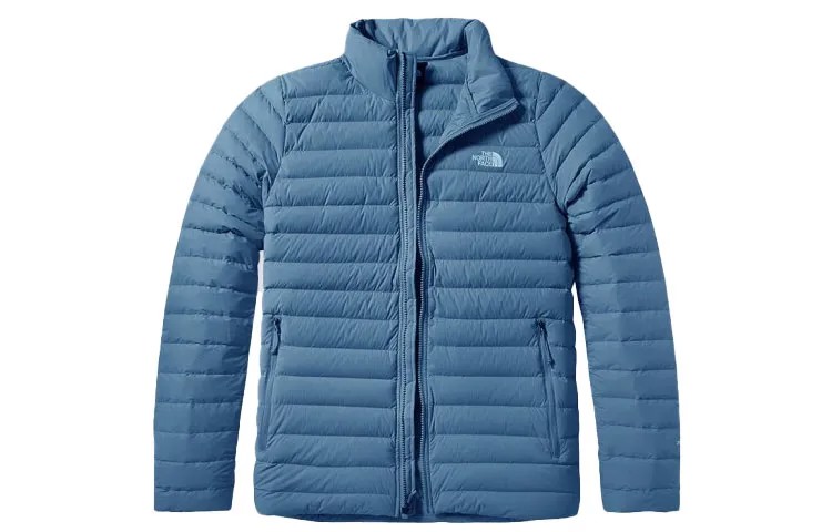 THE NORTH FACE Мужской пуховик, цвет Blue
