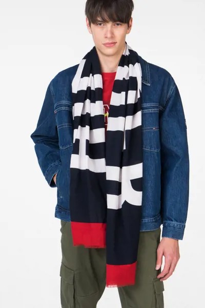 Шарф мужской Tommy Hilfiger AM0AM04291 разноцветный