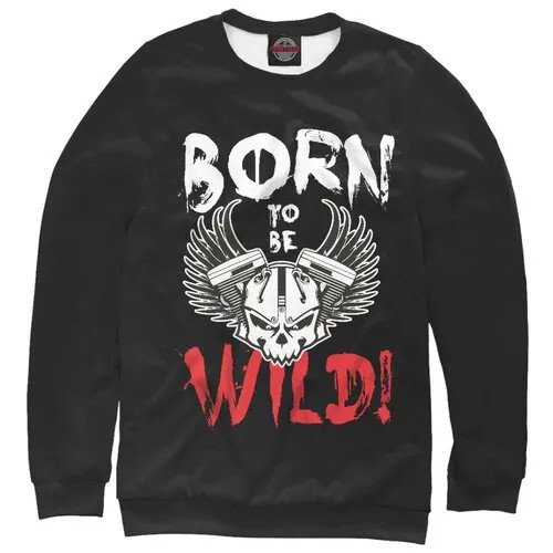 Толстовка мужская c принтом Born to be wild