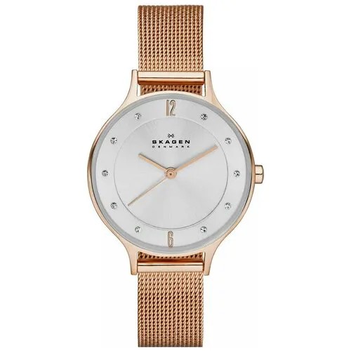 Наручные часы Skagen SKW1096