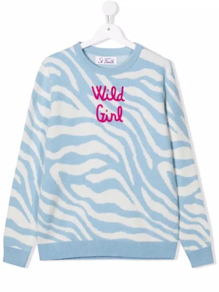MC2 Saint Barth Kids джемпер с вышивкой и зебровым принтом