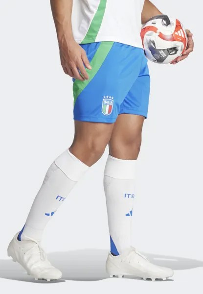 Спортивные шорты Italy Figc Away adidas Performance, синие