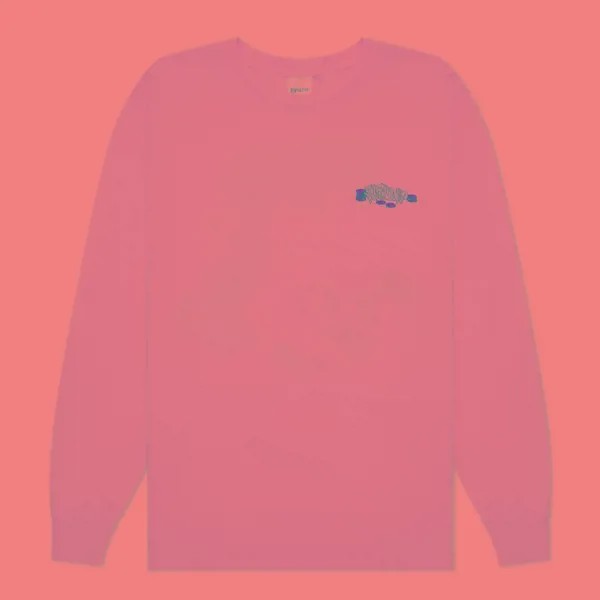 Мужской лонгслив Ripndip