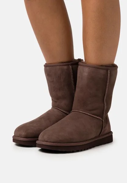 Угги женские UGG, шоколадный