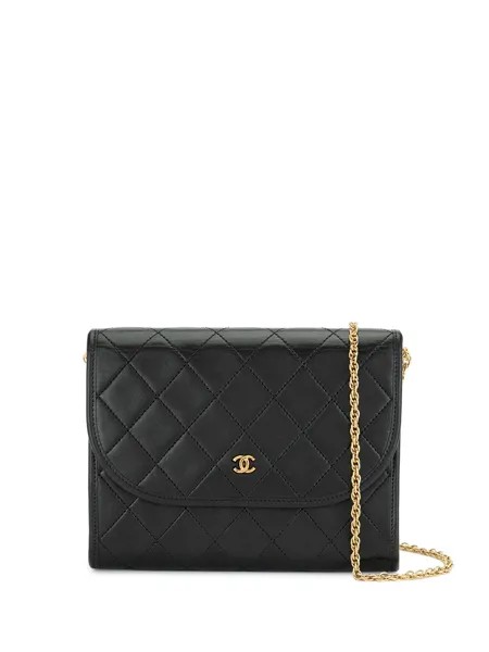 Chanel Pre-Owned стеганая сумка на плечо Double Chain с логотипом CC