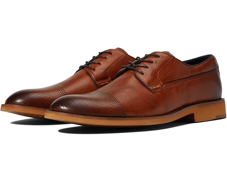 Оксфорды Steve Madden Chilton, цвет Tobacco