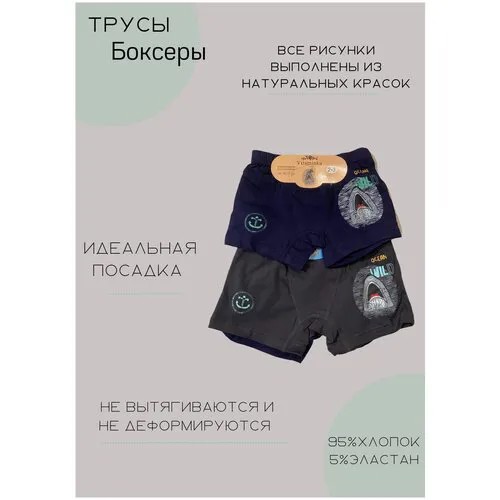 Трусы  Витаминка, 2 шт., размер 6-7 лет, серый