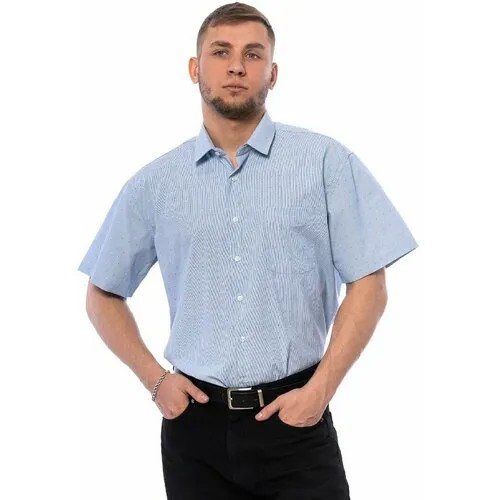 Рубашка Imperator, размер 56/XL/170-178/44 ворот, голубой