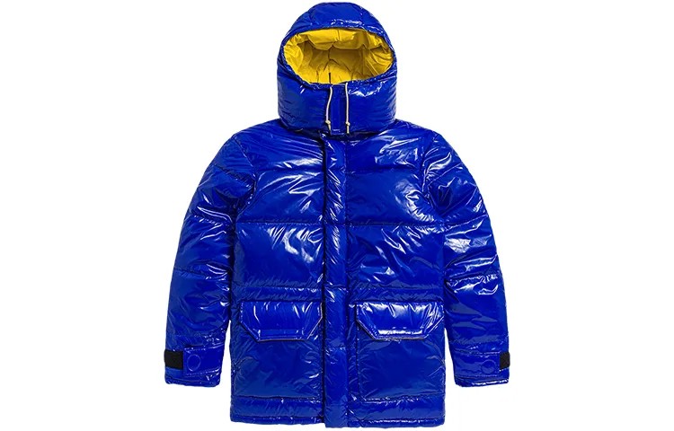 THE NORTH FACE Мужской пуховик, цвет Blue