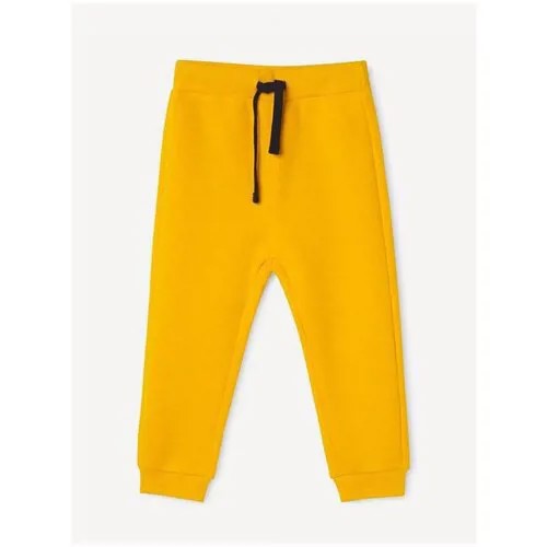 Жёлтые спортивные брюки Jogger для мальчика Gloria Jeans, размер 9-12мес/80