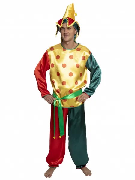 Костюм карнавальный мужской Петрушка Вестифика v101004 разноцветный 50 RU