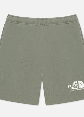 Мужские шорты The North Face Logo Plus, цвет зелёный, размер XS