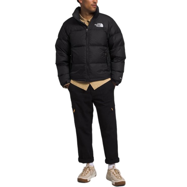 Коллекция 1996 года. Пуховики и пальто мужские, черные The North Face, черный