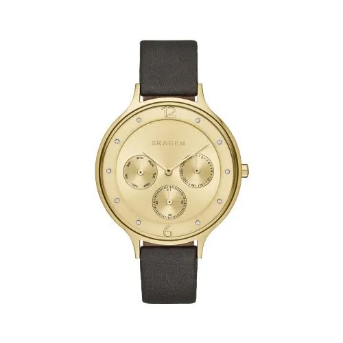 Наручные часы Skagen SKW2393