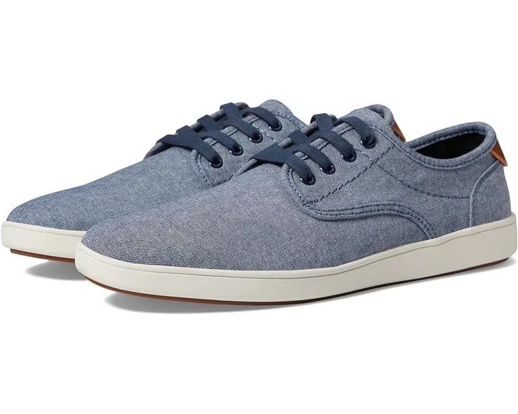 Кроссовки Steve Madden Fenta, синий