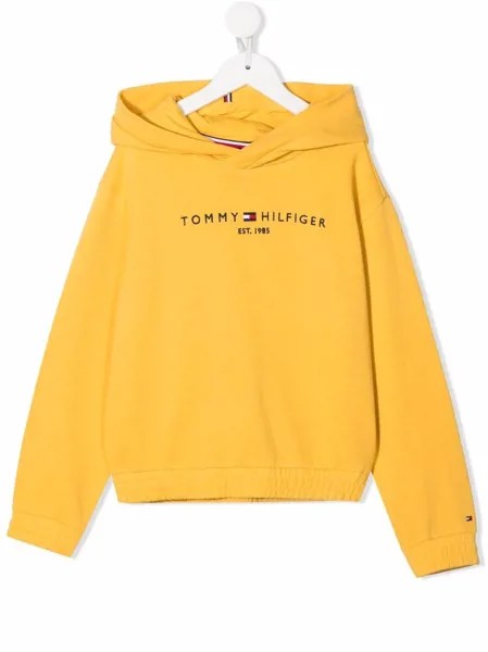 Tommy Hilfiger Junior худи с вышитым логотипом