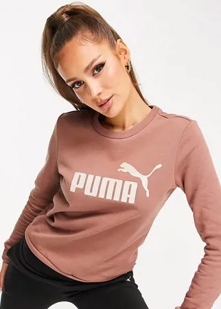 Коричневый свитшот с логотипом Puma Essentials-Коричневый цвет