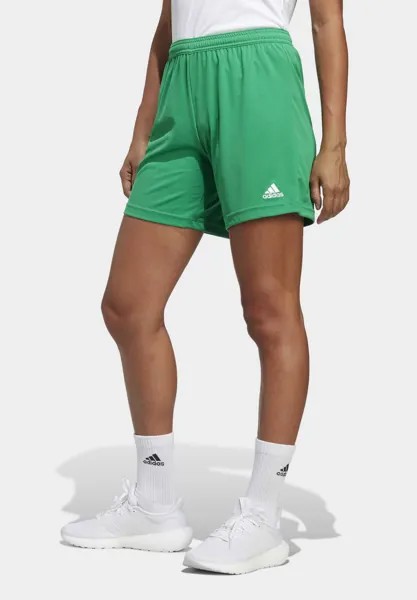 Спортивные шорты ENTRADA 22 adidas Performance, цвет green