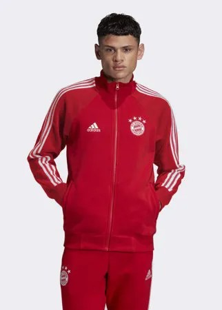 Олимпийка Бавария Мюнхен Icons adidas Performance