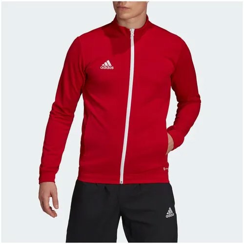 Олимпийка adidas Entrada 22, размер XS, красный