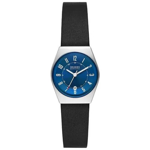 Наручные часы SKAGEN SKW3036