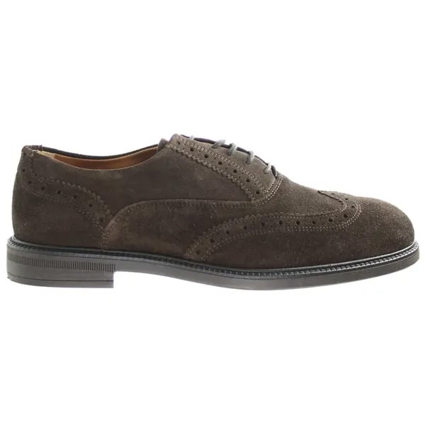 Мужские туфли Hackett Chino Pln броги Hackett London, коричневый