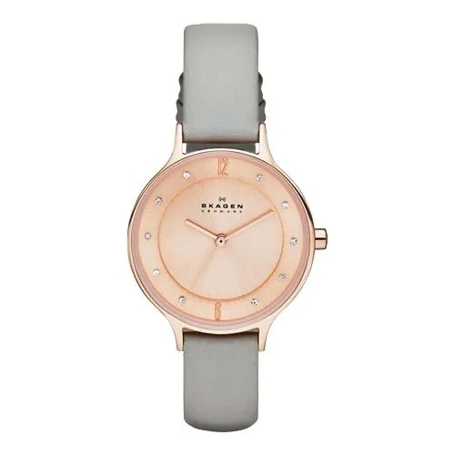 Наручные часы SKAGEN