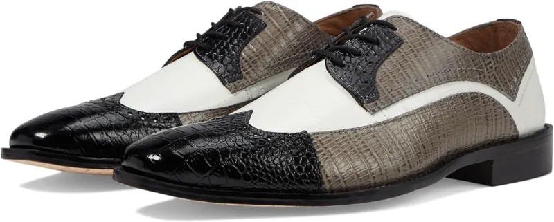 Оксфорды Stacy Adams Gallinari Wingtip Lace Up, цвет Black/Gray/White