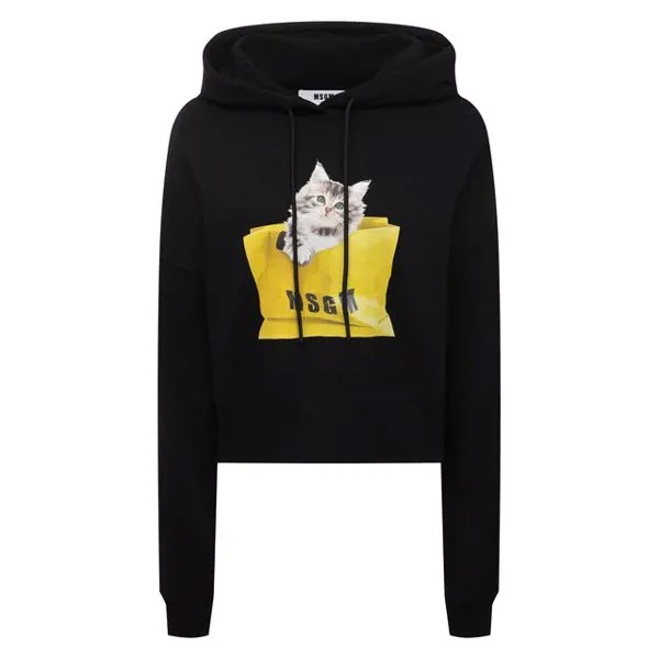 Хлопковое худи MSGM