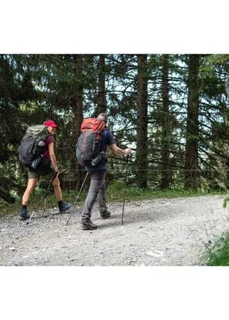 Ботинки для треккинга водонепроницаемые TREK 100, размер: 41, цвет: Светлый Графит/Серый Графит/Темная Сепия FORCLAZ Х Декатлон