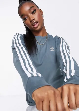 Голубой лонгслив с тремя полосками adidas Originals adicolor