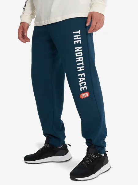 Брюки мужские The North Face Varsity Graphic, Синий