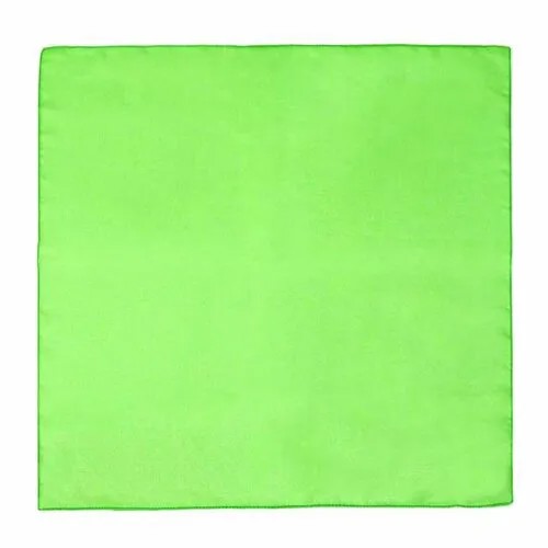 Платок WHY NOT BRAND,53х53 см, зеленый