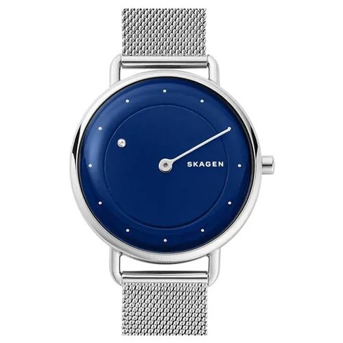 Наручные часы SKAGEN SKW2738