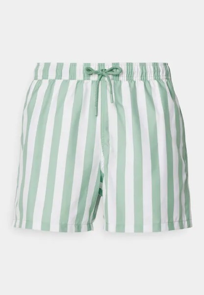 Шорты для плавания SWIM Björn Borg, цвет light green/white