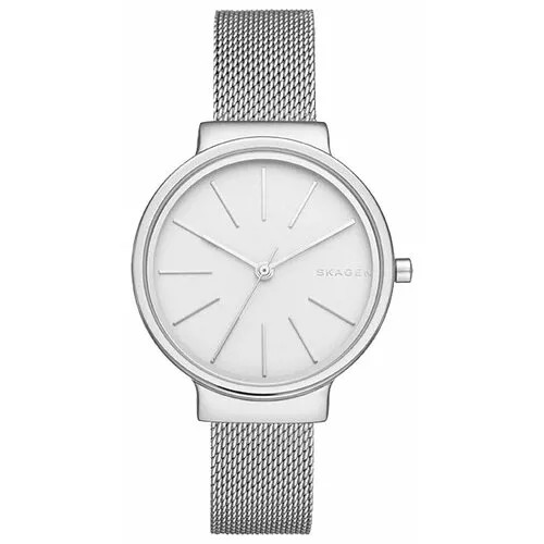 Наручные часы SKAGEN, серебряный